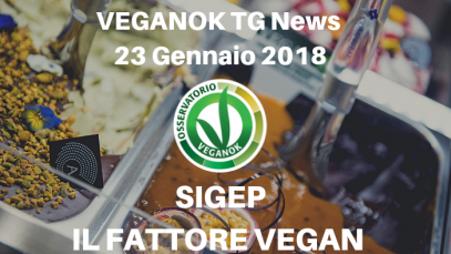 VEGANOK TG News (14)