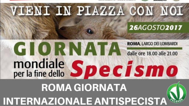 FIERE ED EVENTI (28)