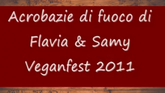 Progetto senza titolo(28)