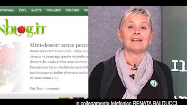 VEGANOK TG News (29)