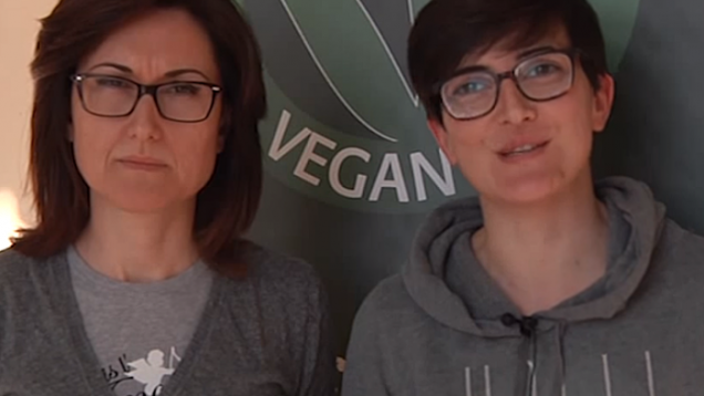 veganok (10)