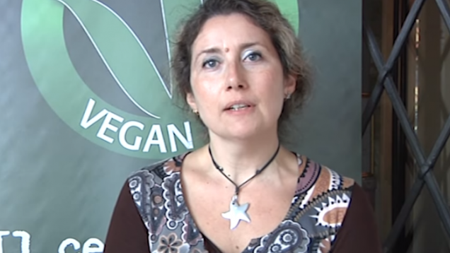 veganok (13)