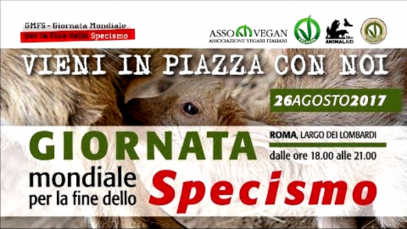 veganok – 2019-04-05T124858.760