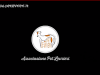 veganok – 2019-04-08T160652.212