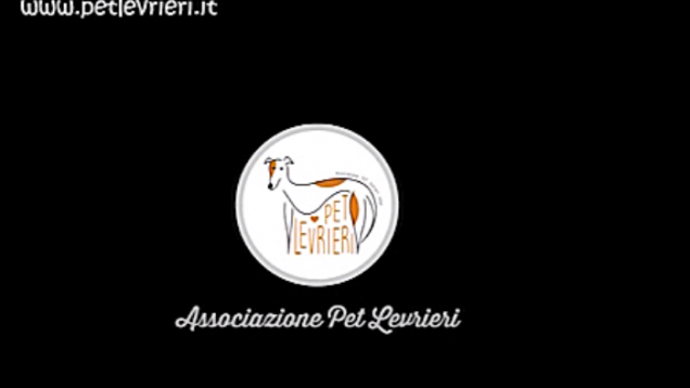 veganok – 2019-04-08T160652.212