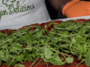 veganok – 2019-04-08T162127.812