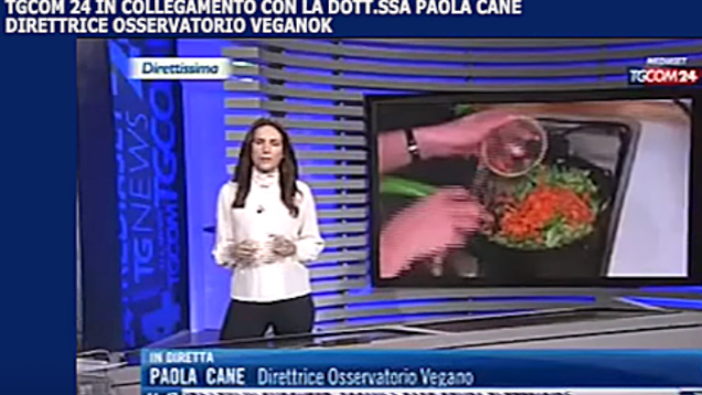 veganok – 2019-04-08T165320.630