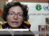 veganok – 2019-04-08T180328.909