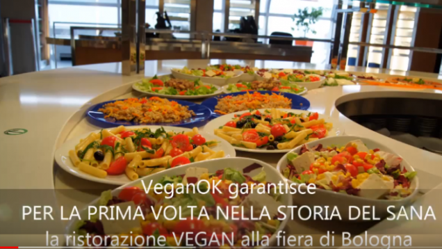 veganok (38)