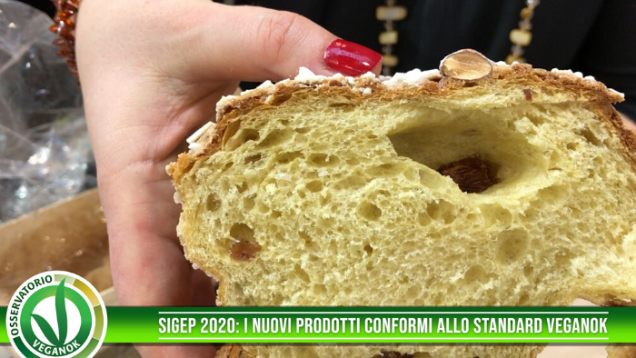 sigep 2020 veganok
