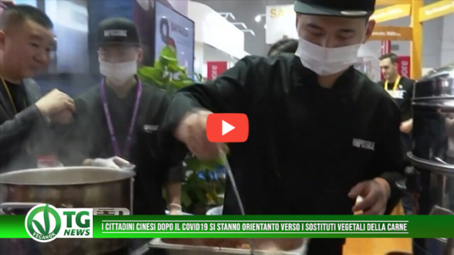 cina vegan (1)