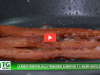 pancetta vegetale (1)