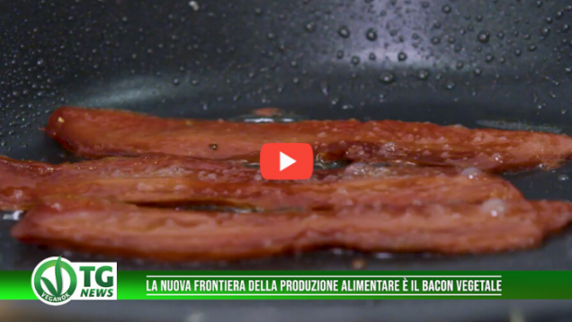 pancetta vegetale (1)