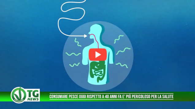 pesce plastica (4)