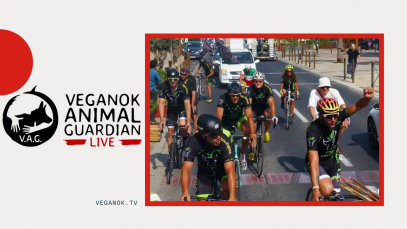 The vegenok animal guardian veganok animal guardian veganok animal guardian