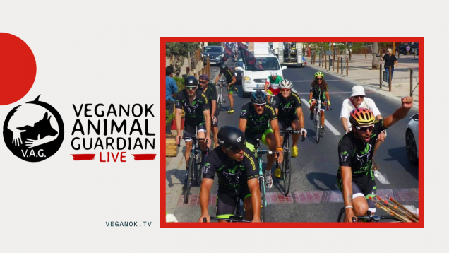 The vegenok animal guardian veganok animal guardian veganok animal guardian