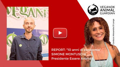essere animali