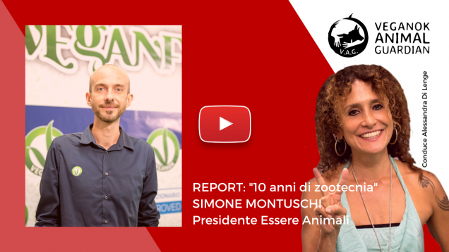 essere animali