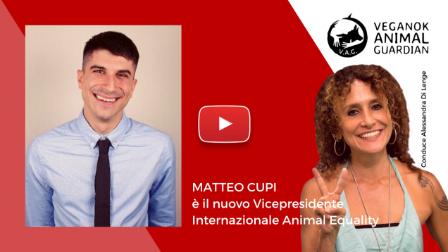 matteo cupi