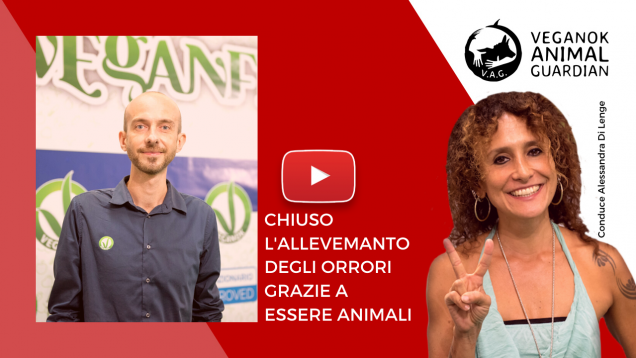 etichette (2)