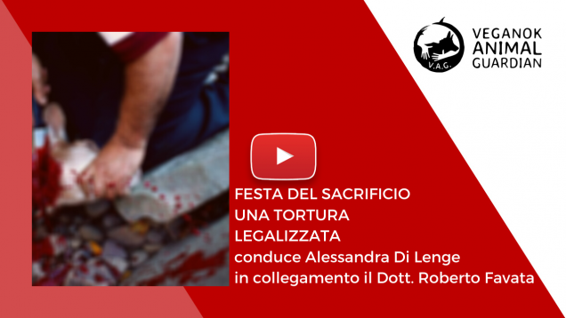 festa del sacrificio