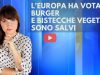 speciale (6)