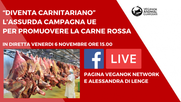 caccia (1)