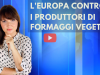 speciale (5)