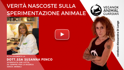 Penco (2)