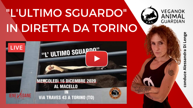 TORINO