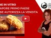 carne in vitro