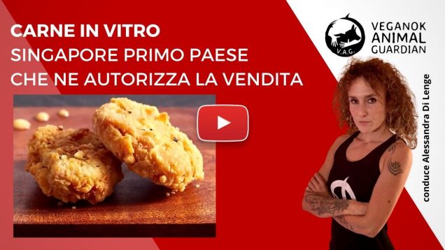 carne in vitro