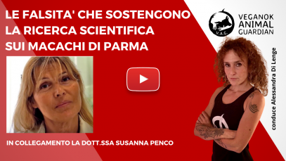 PARMA (1)