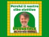 Il cibo elettivo per gli esseri umani? Quello vegetale (anche per le proteine)