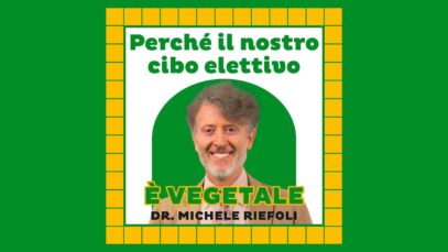 Il cibo elettivo per gli esseri umani? Quello vegetale (anche per le proteine)