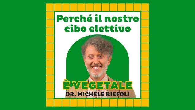 Il cibo elettivo per gli esseri umani? Quello vegetale (anche per le proteine)
