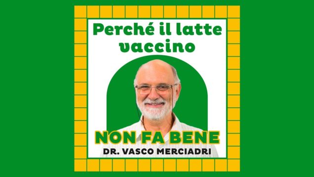 Perché il latte vaccino non fa bene – Dr. Vasco Merciadri