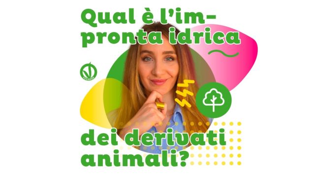 Cos’è l’impronta idrica e perché carne e derivati animali non possono essere definiti sostenibili