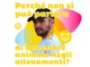 Perché non si può parlare di benessere animale negli allevamenti
