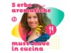 Ecco 5 erbe aromatiche da avere sempre in cucina