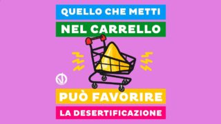 Sai qual è l’impronta idrica dei derivati animali?