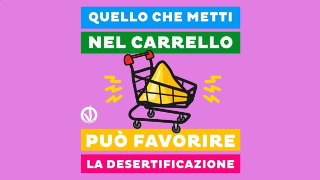 Sai qual è l’impronta idrica dei derivati animali?
