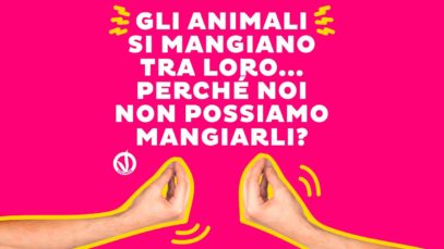 Gli animali si mangiano tra loro, perché noi non possiamo mangiarli?