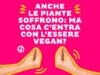 Anche le piante soffrono