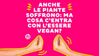 Anche le piante soffrono