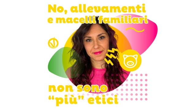 No allevamenti e macelli familiari non sono più etici