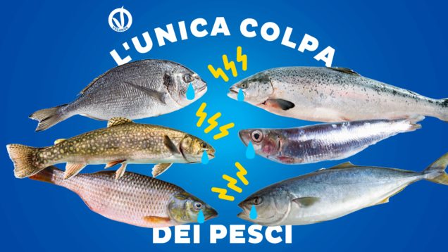 pesci