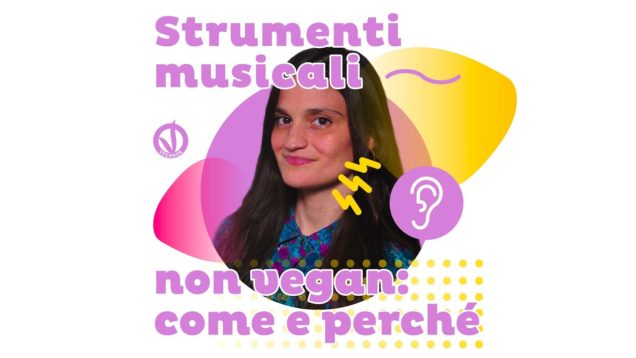 Strumenti vegani