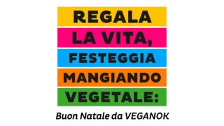 Natale VEGANOK
