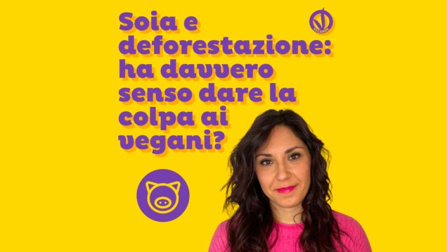 Laura Di Cintio
